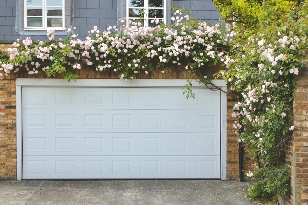 Garage door is covered with beautiful climbing roses in Huntington Beach, CA